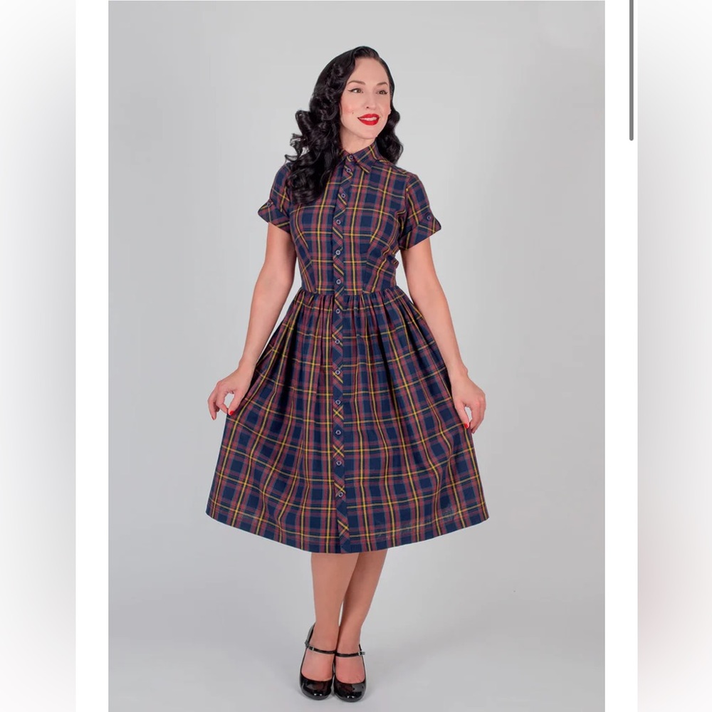 NWT Tatyana Tailor & Twirl Gingham Dress